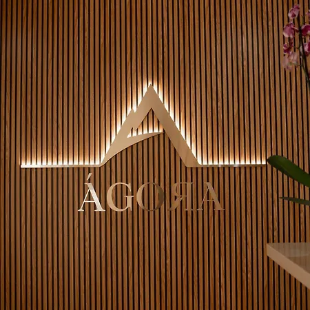 Agora 招待所